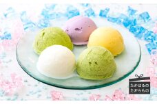 《宮崎県グルメコンテスト2連覇》アイスクリーム研究所 彩りアイス詰め合わせセット [スイーツ デザート ジェラート ワンストップオンライン] TF0441-P00023