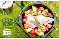 《国産木炭付き》より鶏みどりBBQセット バーベキューにピッタリな味付きチキンの詰め合わせ [BBQ バーベキュー ホームパーティ イベント ソロキャンプ 小分け 時短調理 簡単調理 手羽先 鶏肉 若鶏のモモ肉 お肉 さつま地鶏屋 ワンストップオンライン]  TF0475-P00033