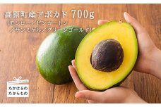 【限定50セット】宮崎県高原町産アボカド 国産の野菜 [日本産 数量限定 期間限定 ワンストップオンライン] TF0506-P00041