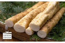 《数量限定》高原町の自然薯(1kg以上) 天然のむかごを種芋に使用！ [野菜 山芋 ワンストップオンライン対応] TF0503-P00042