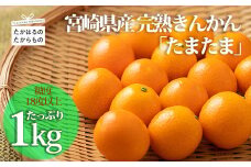 【限定20セット】宮崎完熟きんかん「たまたまエクセレント」1kg  [期間限定 数量限定 季節限定 フルーツ 果物 柑橘類 かんきつ類 ご贈答 ギフト 15000円 オンラインワンストップ] TF0432-P00055