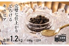【定期便 12ヶ月】THE・CAVIAR(ザ・キャビア)100g [高級 国産 日本産 ギフト 贈答 贈り物 プレゼント お中元 化粧箱入り 1年間 ワンストップオンライン]  TF0498-P00066