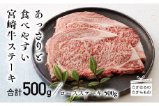 宮崎牛ロースステーキ 2枚(500g) ワンストップオンライン対応 TF0542-P00043