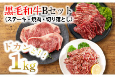 《大容量》黒毛和牛Bセット(ステーキ・焼肉・切り落とし)3種で合計1kg 国産牛詰め合わせセット [赤身肉 牛肉 お肉 ステーキ 切り落とし ワンストップオンライン] TF0562-P00020