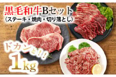 《大容量》黒毛和牛Bセット(ステーキ・焼肉・切り落とし)3種で合計1kg 国産牛詰め合わせセット [赤身肉 牛肉 お肉 ステーキ 切り落とし ワンストップオンライン] TF0562-P00020
