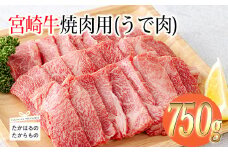 《A5・A4ランク》宮崎牛焼肉用(うで肉)約750g 内閣総理大臣賞受賞の黒毛和牛 [ブランド牛 牛肉 ワンストップオンライン] TF0569-P00012