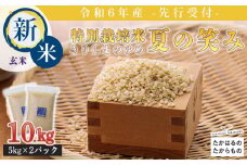《新米》《先行受付》2024年産(令和6年産)玄米 「きりしまのゆめ」夏の笑み10kg 霧島湧水が育む減農薬栽培のお米 [特別栽培米 真空チャック式 特A地区 ワンストップオンライン] TF0627-P00026