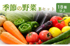 国産『季節の野菜詰め合わせセットB』18種類以上の新鮮な野菜をお届け！ 仕送りに最適な栄養豊富で健康的な野菜セット [やさい 旬 大容量 ワンストップオンライン] TF0669-P00055