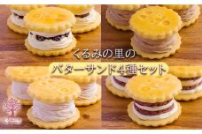 くるみの里バターサンドづくし(合計10個) お菓子詰め合わせセット [ラムレーズンサンド あんバターサンド チョコレート 苺 イチゴ ストロベリー 洋菓子 ワンストップオンライン] TF0675-P00010