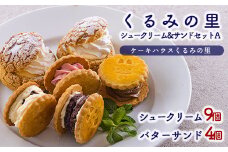 《お菓子詰め合わせ》くるみの里シュークリーム&バターサンドセットA [ラムレーズンサンド あんバターサンド チョコレート イチゴ 苺 ストロベリー ワンストップオンライン] TF0676-P00010