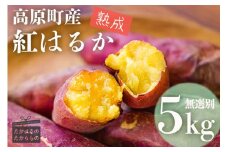 【期間限定】 南九州の名産品「熟成紅はるか」5kg（無選別）[さつまいも 薩摩芋 焼き芋用 蒸かし芋 ワンストップオンライン] TF0719-P00061