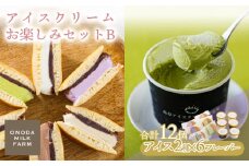 《宮崎県グルメコンテスト2連覇》高原アイスクリーム研究所のお楽しみBセット カップアイスやアイスサンド2種12個詰め合わせ [全国おやつランキング4位 スイーツ デザート ジェラート お菓子 パンケーキ ワンストップオンライン] TF0725-P00023