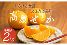 《数量限定100セット》柑橘の高級ブランド 果汁たっぷり高原町産「せとか」約2kg(6～8玉)  オレンジ色の果物[産地直送 産直 フルーツ ギフト 贈答 贈り物 プレゼント 宮崎県産 国産 ワンストップオンライン]  TF0746-P00068