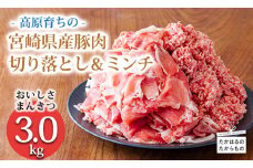 《寄付金10,000円で3kg！》国産 豚肉切り落とし＆豚肉ミンチ 大容量豚肉2種詰め合わせセット 合計3000g ワンストップオンライン対応 TF0766-P00070