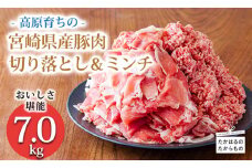 《寄付金20,000円で7kg！》国産 豚肉切り落とし＆豚肉ミンチ 大容量豚肉2種詰め合わせセット 合計7000g ワンストップオンライン対応 TF0768-P00070