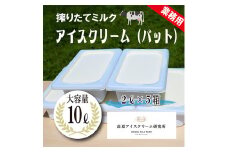 《宮崎県グルメコンテスト2連覇》ONODA MILK FARMのアイスクリーム「搾りたてミルク」 10L 2リットルバット5個 デッシャーで10個分[スイーツ デザート ジェラート 大容量 業務用 ワンストップオンライン] TF0593-P00023