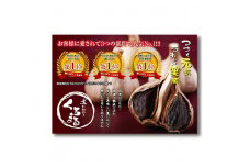 《純国産》臭みがないフルーティーな熟成黒にんにくセット(40g×6袋) [黒大蒜 野菜 甘さが決めて!おいしさランキング第1位 ワンストップオンライン] TF617-P00054