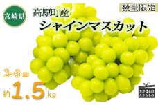 【数量限定・先行受付】久保ぶどう園のシャインマスカット(約1.5kg) 果汁たっぷりの美味しい種なし葡萄 [大粒 果物 フルーツ 季節限定 期間限定 果物 産地直送 約1.5キロ 2房～3房 2個～3個 ワンストップオンライン] TF0780-P00005