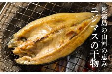 ニジマスの干物《奥霧島の山河の恵み》国産の天然塩と魚醤で味付けた川魚「虹鱒」の開き [焼き魚 干し魚 無添加 ひもの 奥霧島ドライレインボートラウト] TF0791-P00045