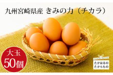 宮崎県産の赤たまご『きみの力(チカラ)』大容量75個Lサイズの赤卵 ミネラルたっぷりのカキガラや上質な飼料ですくすく育った鶏の卵は甘くておいしい逸品 [新鮮 たまご L玉 玉子 大玉 8000円 8千円 ワンストップオンライン 10000円以下] TF0793-P00035