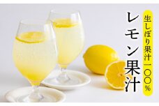 《ビタミンCが豊富!》レモンの生搾り果汁 大容量・業務用1L 香酸柑橘 [保存料不使用 濃縮還元なし 非加熱製法 12000円 ワンストップオンライン] TF0790-P00074