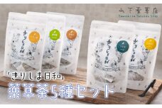 《天然・無農薬栽培》  薬草茶5種詰め合わせセット「きりしま日和」ティーパックタイプ 国産の健康茶 [びわ 琵琶の葉 枇杷の葉 ドクダミ スギナ 桑の葉茶 ヨモギ 薬草茶 日本産 お茶 ノンカフェイン ワンストップオンライン 10000円以下] TF0812-P00027