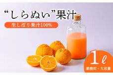 濃厚な甘さ しらぬいの手搾り果汁1L(業務用)  [保存料不使用12000円 ワンストップオンライン] TF0816-P00074