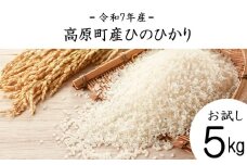【令和7年産 新米】宮崎県高原町産 ひのひかり白米 5kg TF00854-P00079
