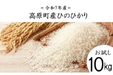 【令和7年産 新米】宮崎県高原町産 ひのひかり白米 10kg TF00856-P00079