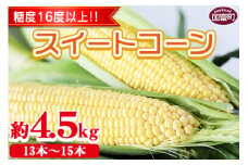 数量限定【2026年発送】＜宮崎県産 スイートコーン 約4.5kg＞2026年5月下旬～6月中旬迄に順次出荷【 先行予約 穀物 野菜 甘い 季節限定 とうもろこし おやつ ご飯 スープ サラダ BBQ 屋台 JAみやざき 国富町 宮崎県】
