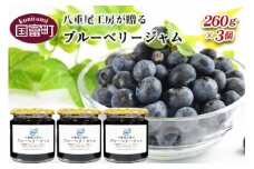 八重尾工房が贈る＜ブルーベリージャム 260g×3個＞翌月末迄に順次出荷