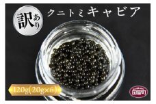 【訳あり】＜クニトミキャビア 120gセット(20g×6)＞【 魚卵 高級 魚 魚介 卵 贅沢 クラッカー 珍味 パーティー 記念日 誕生日 お祝い 国産 チョウザメ フレンチ わけあり ワケアリ 訳アリ 家庭用 】翌月末迄に順次出荷