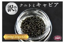 【訳あり】＜クニトミキャビア 240gセット(20g×12)＞【 魚卵 高級 魚 魚介 卵 贅沢 クラッカー 珍味 パーティー 記念日 誕生日 お祝い 国産 チョウザメ フレンチ わけあり ワケアリ 訳アリ 家庭用 】翌月末迄に順次出荷