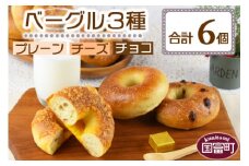 ＜ベーグル 3種セット 計6個＞翌月末迄に順次出荷【 朝食 モーニング 昼食 ランチ サンドイッチ 食事パン 食べ比べ 】
