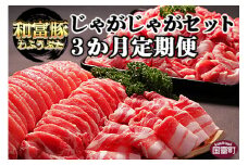 ＜3か月定期便 和富豚 じゃがじゃがセット 1.7kg＞翌月末迄に第一回目発送