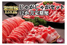 ＜12か月定期便 和富豚 じゃがじゃがセット 1.7kg＞翌月末迄に第一回目発送【 豚肉 下ロース 豚バラ スライス 豚モモ 切落とし お楽しみ 株式会社エムツー国富店 宮崎県 国富町 食べ比べ バラエティー 普段使い 料理 アレンジ 炒め物】