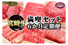＜6か月定期便 宮崎牛満喫セット＞翌月末迄に第一回目発送