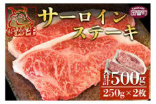 ＜宮崎牛 サーロインステーキ 250g×2枚＞翌月末迄に順次出荷