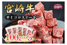 ＜宮崎牛 サイコロステーキ 合計500g（100g×5)＞翌月末迄に順次出荷