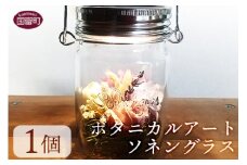 ＜ボタニカルアート ソネングラス＞翌月末迄に順次出荷