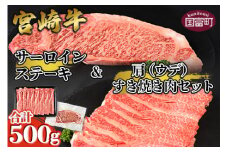 ＜宮崎牛サーロインステーキ ＆ 宮崎牛肩（ウデ）すき焼き肉セット 合計500g＞翌月末迄に順次出荷