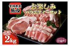 ＜宮崎県産豚肉 《お楽しみ》バラエティーセット 合計2.0kg＞【 肉 豚 豚肉 セット 詰め合わせ 国産 ぶた ブタ スライス ロース 小間 小間切れ こまぎれ 料理 豚肉料理 とんかつ トンカツ 2kg ミンチ 挽肉 】翌月末迄に順次出荷