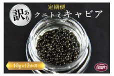 【訳あり】＜12か月定期便 クニトミキャビア 10g＞【 魚卵 高級 魚 魚介 卵 贅沢 クラッカー 珍味 パーティー 記念日 誕生日 お祝い 国産 チョウザメ フレンチ わけあり ワケアリ 訳アリ 家庭用 】翌月中旬頃に第一回目出荷（※8月は下旬頃）