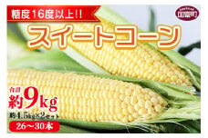 数量限定【2026年発送】＜宮崎県産 スイートコーン 約9kg（約4.5kg×2箱）＞2026年5月下旬～6月中旬迄に順次出荷【 先行予約 穀物 野菜 甘い 季節限定 とうもろこし おやつ ご飯 スープ サラダ BBQ 屋台 JAみやざき 国富町 宮崎県】