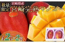 数量限定【2026年発送】＜宮崎県産 完熟マンゴー A等級 2Lサイズ×2玉（合計約700g）＞2026年4月上旬～6月末迄に順次出荷