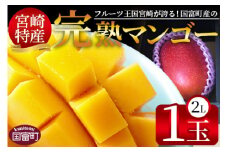 期間限定！2025年発送 ＜宮崎特産！国富町産の完熟マンゴー 1玉（2L）＞2025年4月中旬～6月中旬迄に順次出荷