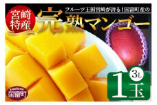 期間限定！2025年発送 ＜宮崎特産！国富町産の完熟マンゴー 1玉（3L）＞2025年4月中旬～6月中旬迄に順次出荷