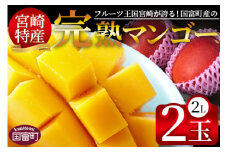 期間限定！2025年発送 ＜宮崎特産！国富町産の完熟マンゴー 2玉（2L×2玉）＞2025年4月中旬～6月中旬迄に順次出荷