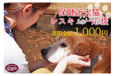 ＜保健所犬猫レスキュー【返礼品なしのご寄附】＞【 動物愛護 愛護活動 保護 犬 猫 いぬ ねこ イヌ ネコ 動物 どうぶつ ペット 応援 支援 寄付 使い道 寄附のみ いのちのはうす保護家 】