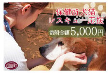 ＜保健所犬猫レスキュー【返礼品なしのご寄附】＞寄付金額5,000円※お礼状をお送りいたします。【 動物愛護 保護 犬 猫 いぬ ねこ イヌ ネコ 動物 どうぶつ ペット 応援 支援 寄付 使い道 寄附のみ いのちのはうす保護家 】